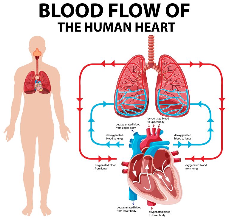 acupuncture-for-migraine-relief-in-rawang